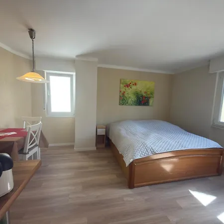 Am Yachthafen 1 Og Moselperle Apartment